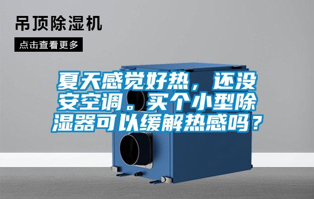 夏天感觉好热,还没安空调。买个小型除湿器可以缓解热感吗?