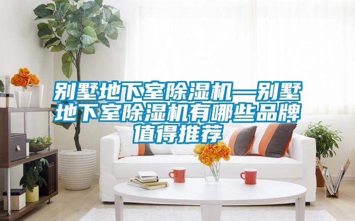 别墅地下室除湿机—别墅地下室除湿机有哪些品牌值得推荐