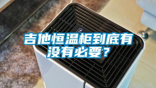 吉他恒温柜到底有没有必要?