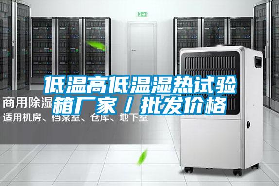 低温高低温湿热试验箱厂家/批发价格