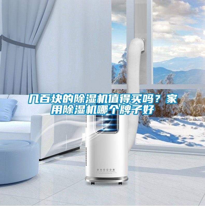 几百块的除湿机值得买吗?家用除湿机哪个牌子好