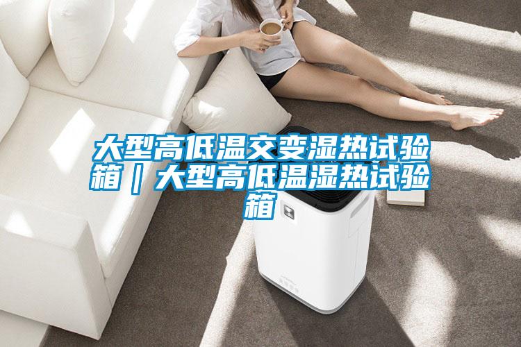 大型高低温交变湿热试验箱|大型高低温湿热试验箱