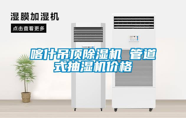 喀什吊顶除湿机 管道式抽湿机价格
