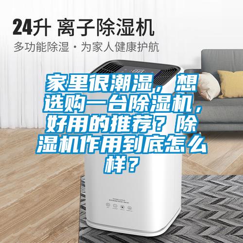 家里很潮湿,想选购一台除湿机,好用的推荐?除湿机作用到底怎么样?