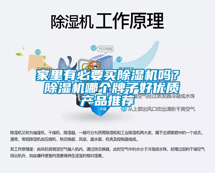 家里有必要买除湿机吗? 除湿机哪个牌子好优质产品推荐
