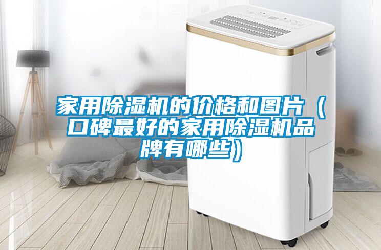 家用除湿机的价格和图片（口碑最好的家用除湿机品牌有哪些）