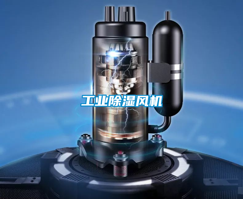 工业除湿风机