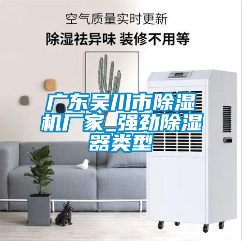 广东吴川市除湿机厂家_强劲除湿器类型