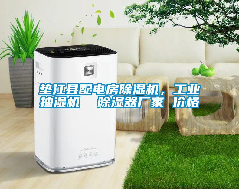 垫江县配电房除湿机,工业抽湿机  除湿器厂家 价格