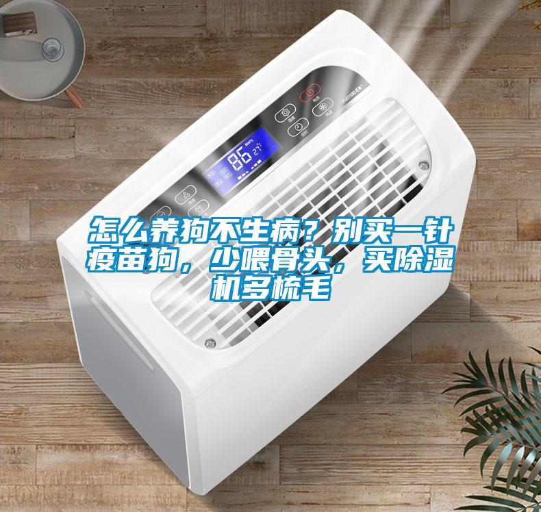 怎么养狗不生病？别买一针疫苗狗，少喂骨头，买除湿机多梳毛