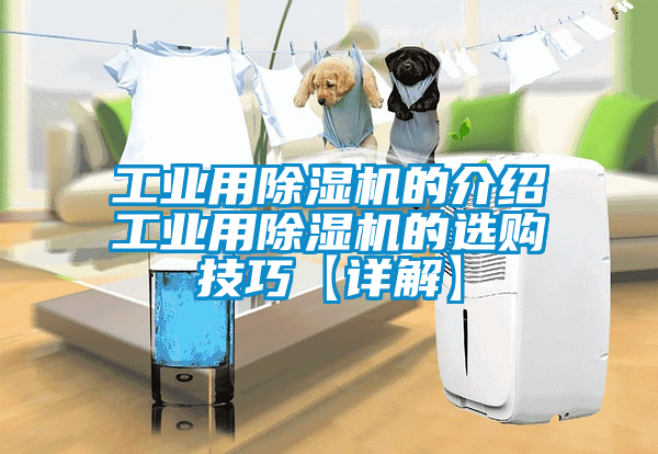 工业用除湿机的介绍工业用除湿机的选购技巧【详解】
