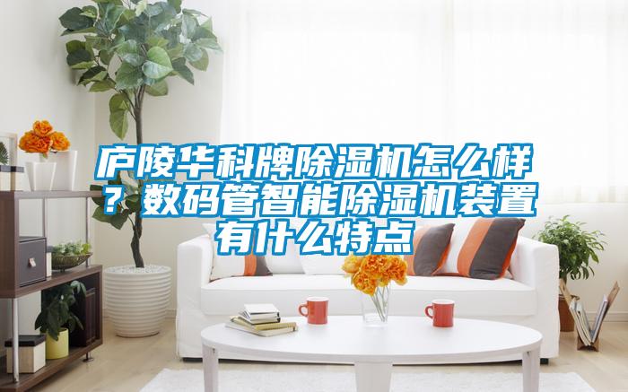 庐陵华科牌除湿机怎么样？数码管智能除湿机装置有什么特点