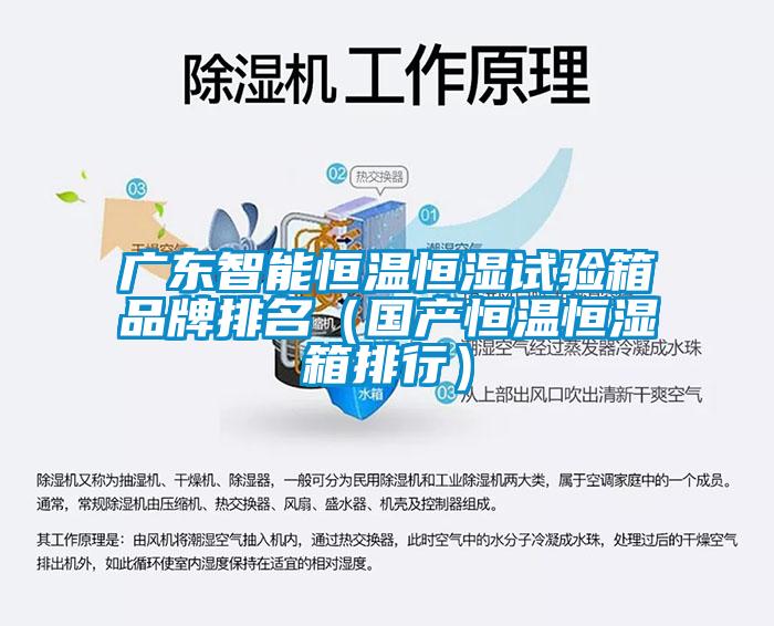 广东智能恒温恒湿试验箱品牌排名(国产恒温恒湿箱排行)