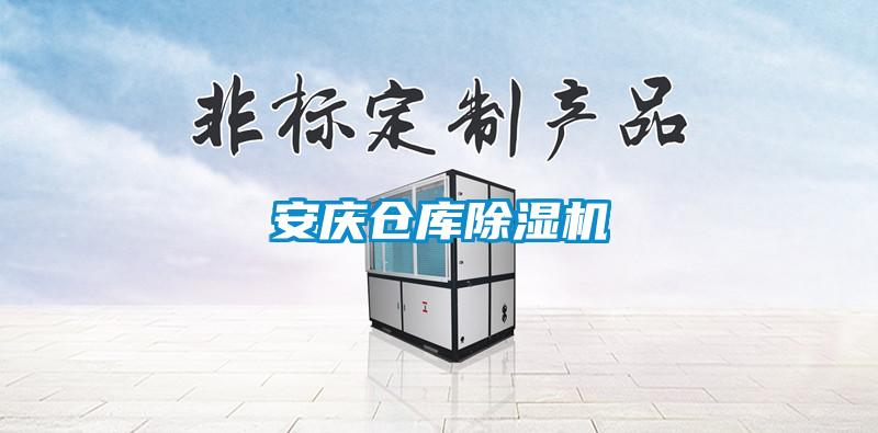 安庆仓库除湿机
