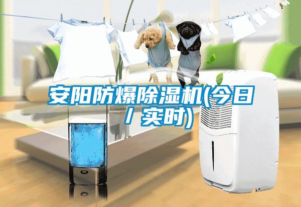安阳防爆除湿机(今日／实时)
