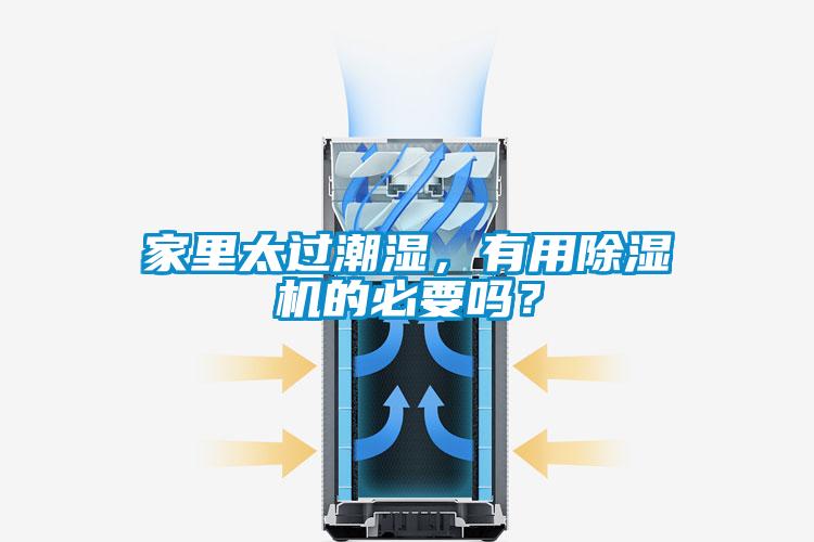 家里太过潮湿,有用除湿机的必要吗?