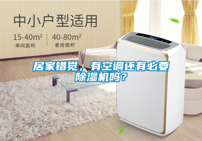 居家错觉，有空调还有必要除湿机吗？
