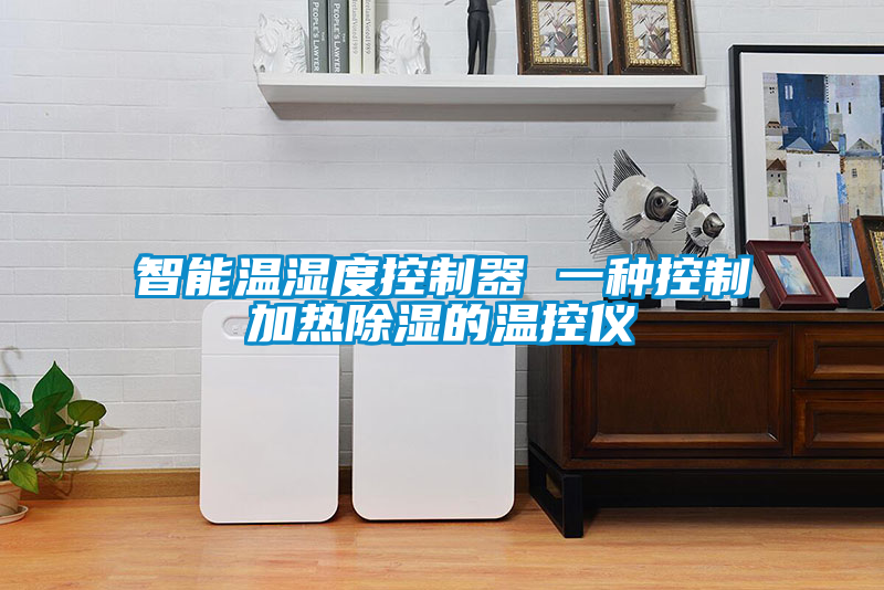 智能温湿度控制器 一种控制加热除湿的温控仪