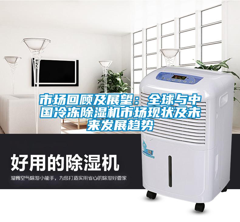 市场回顾及展望：全球与中国冷冻除湿机市场现状及未来发展趋势