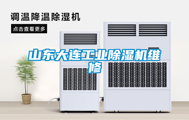 山东大连工业除湿机维修