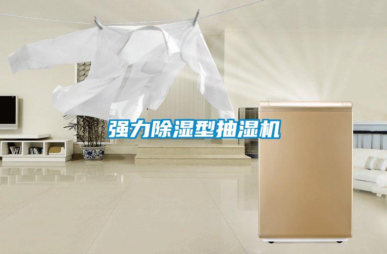 强力除湿型抽湿机