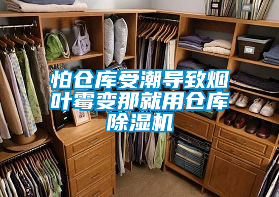 怕仓库受潮导致烟叶霉变那就用仓库除湿机