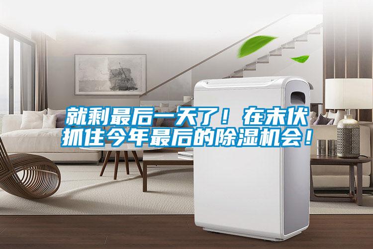 就剩最后一天了！在末伏抓住今年最后的除湿机会！