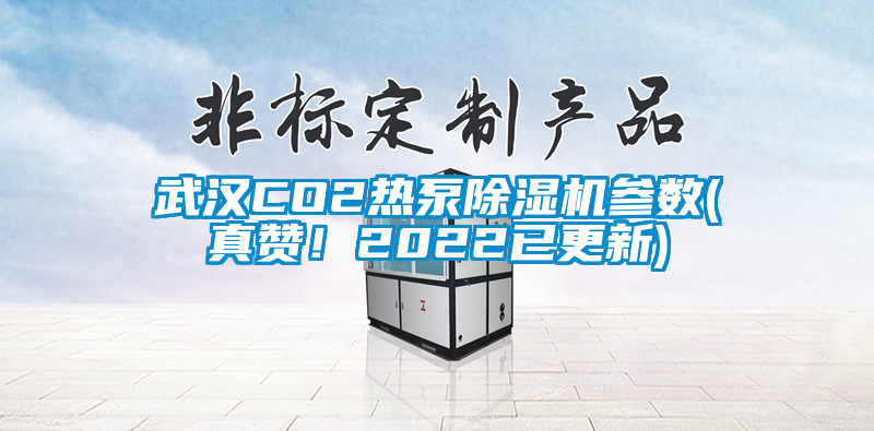 武汉CO2热泵除湿机参数(真赞！2022已更新)