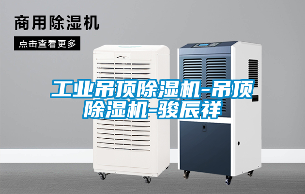 工业吊顶除湿机-吊顶除湿机-骏辰祥