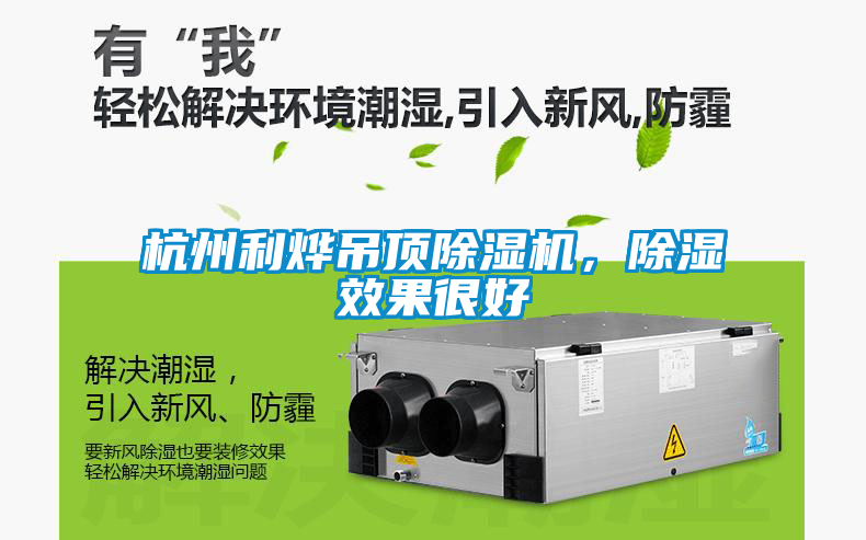 杭州利烨吊顶除湿机，除湿效果很好
