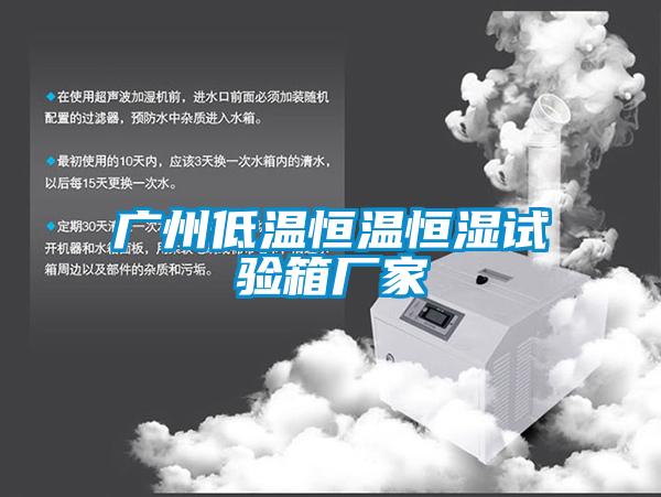 广州低温恒温恒湿试验箱厂家