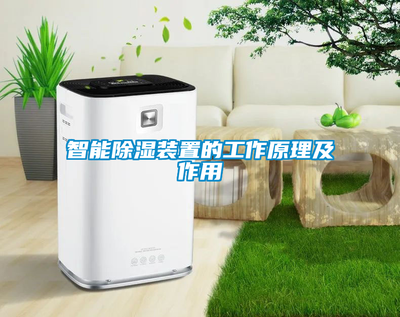 智能除湿装置的工作原理及作用