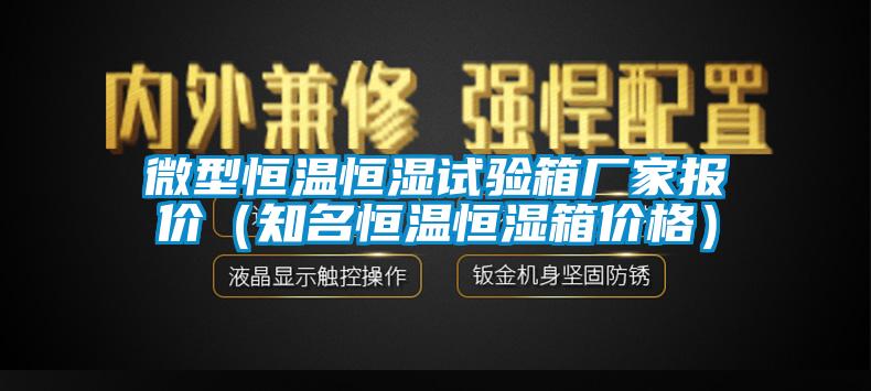 微型恒温恒湿试验箱厂家报价(知名恒温恒湿箱价格)