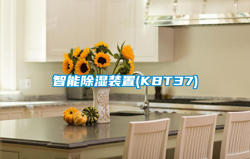 智能除湿装置(KBT37)