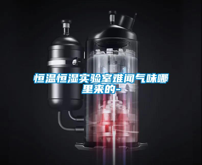 恒温恒湿实验室难闻气味哪里来的-