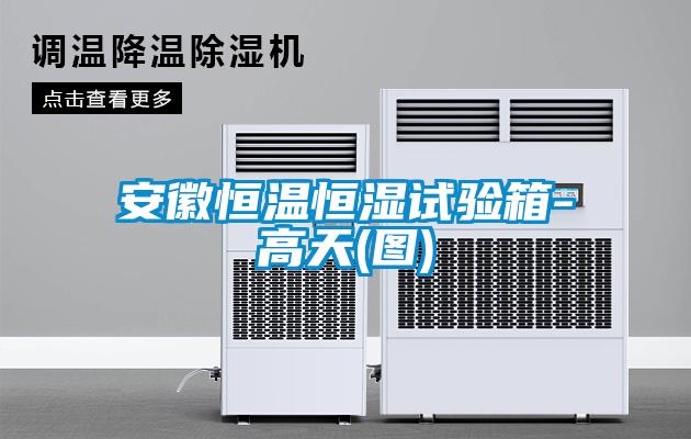 安徽恒温恒湿试验箱-高天(图)