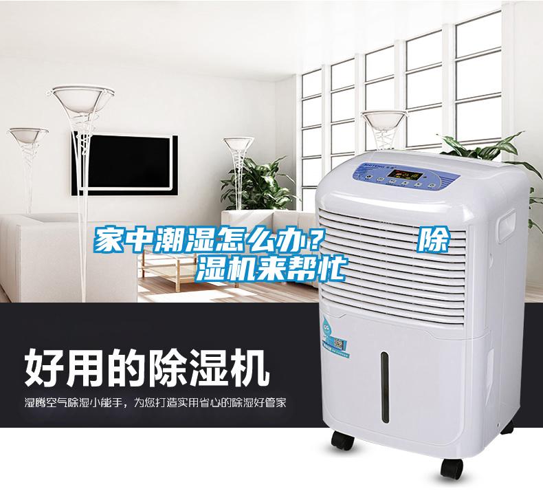 家中潮湿怎么办?    除湿机来帮忙