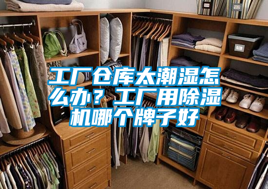 工厂仓库太潮湿怎么办？工厂用除湿机哪个牌子好