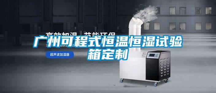 广州可程式恒温恒湿试验箱定制