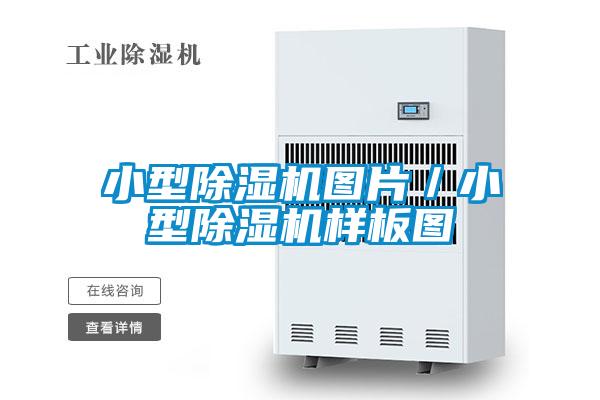小型除湿机图片／小型除湿机样板图
