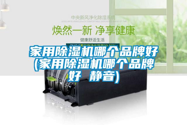 家用除湿机哪个品牌好(家用除湿机哪个品牌好 静音)