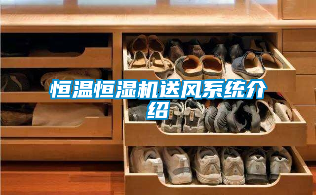 恒温恒湿机送风系统介绍
