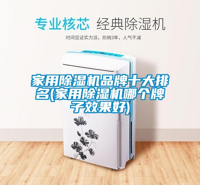 家用除湿机品牌十大排名(家用除湿机哪个牌子效果好)