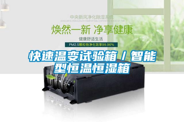 快速温变试验箱/智能型恒温恒湿箱