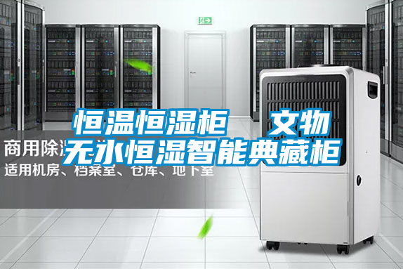 恒温恒湿柜  文物无水恒湿智能典藏柜