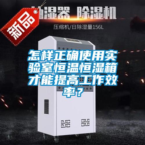 怎样正确使用实验室恒温恒湿箱才能提高工作效率?