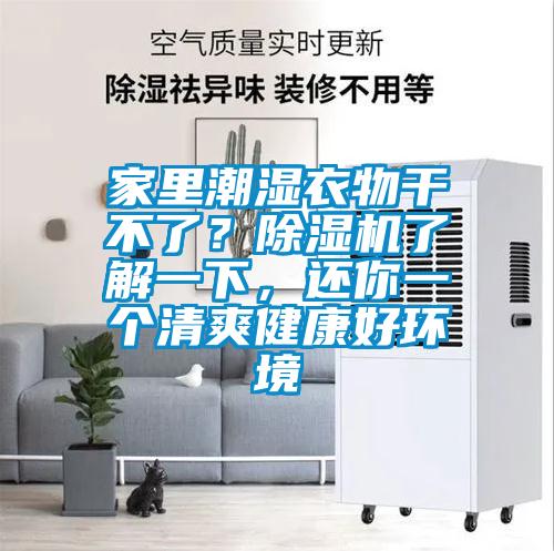 家里潮湿衣物干不了?除湿机了解一下,还你一个清爽健康好环境