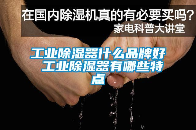 工业除湿器什么品牌好 工业除湿器有哪些特点