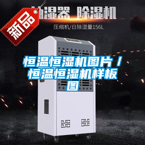 恒温恒湿机图片／恒温恒湿机样板图