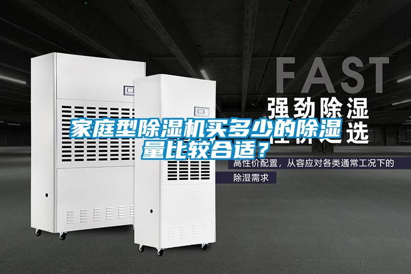 家庭型除湿机买多少的除湿量比较合适?